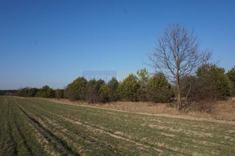 Budowlana 2300m2 reszta rolna