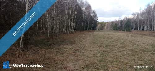 OKAZJA Prywatny las 1,62 ha tylko 1h 15 min od Warszawy