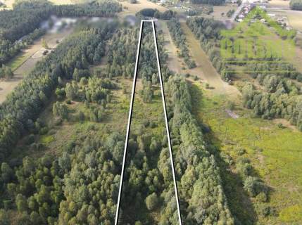 Działka Budowlana / 16460 m2 / Aleksandria Druga