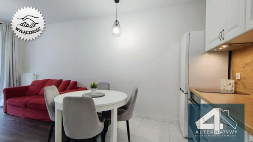 Stylowy Apartament w Centrum Łodzi Wyposażony