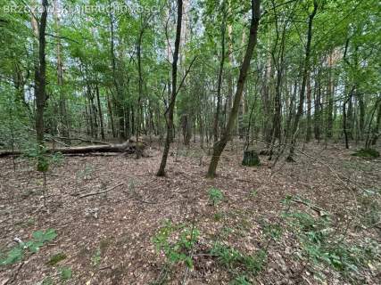 Strzeniówka, 1220 m2, MPZP wolnostojąca