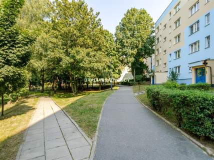 3 osobne pokoje / blisko parku / przestronne / MPK