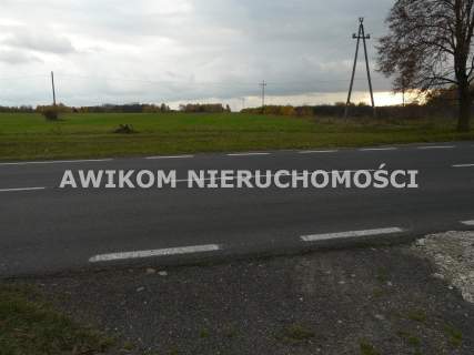 Działka rolna na sprzedaż, 58340 m2, Lisowola