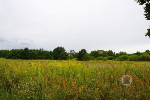 Działka z MPZP przemysł, usługi, składy