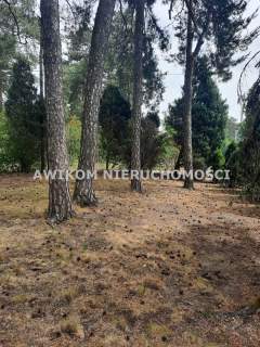 Dom na sprzedaż, 175 m2, Międzyborów