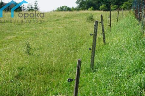 Duża działka w Cieszynie