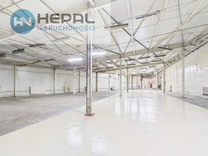 magazyn do wynajęcia - Kielce, 1115 m2