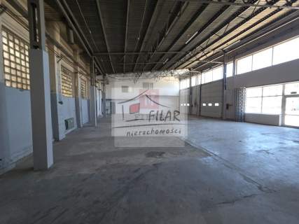 Hala magazynowa z biurami na wyynajem-460m2.