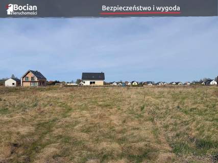 Duża, uzbrojona, płaska, słoneczna Wiślinka