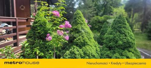 Dom 72m2 z ogrodem w lesie. Arciechów nad Bugiem.