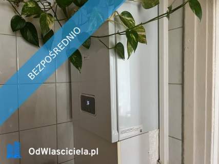 Syndyk sprzeda mieszkanie w Szczecinie przy ul. Warszawska 5/2...