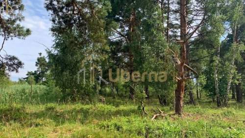 Działka nad morzem