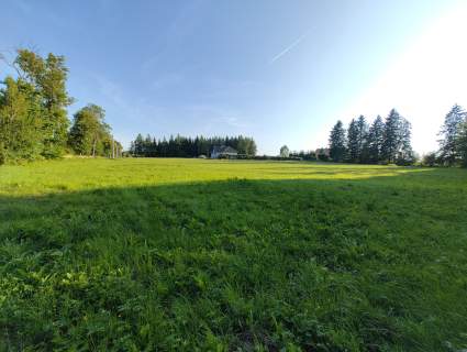 Duża działka z możliwością zabudowy bud. mieszkalnym 3000 m2