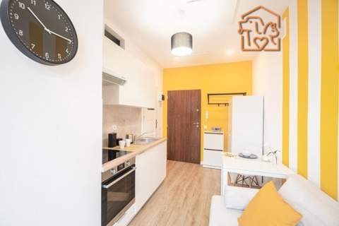 Słoneczna kawalerka, pet-friendly - Katowicka 78