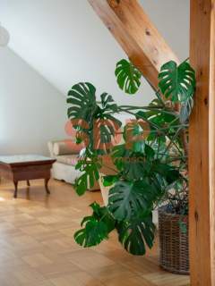 Apartament w willi na Krzykach 5 pokoi 140 m2 taras
