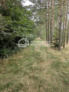 Działka siedliskowa 100.358m2, Jaroszewy/Skarszewy