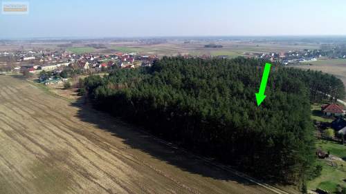 Działka budowlana z lasem dla inwestora
