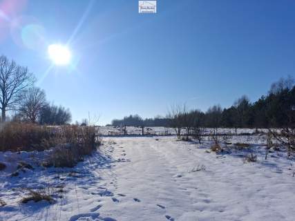 Dom i budynki , 6,5 ha gruntów , gmina Gnojno , pow. Buski ,...