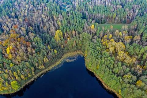 Ostrowin-działki przy lesie nieopodal jeziora.