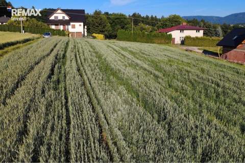 Duża działka z potencjałem 2877 m 