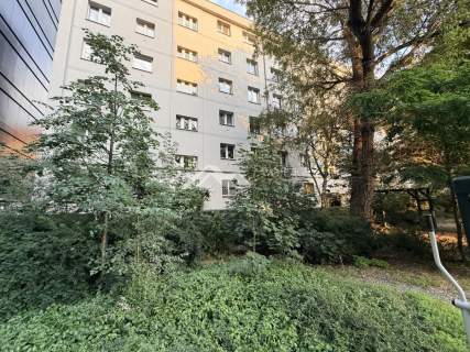 Centrum /Do zamieszkania od zaraz/oddzielna kuchni