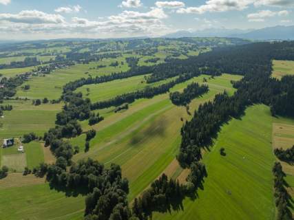 Działka budowlana i działki rolno-leśne Czerwienne