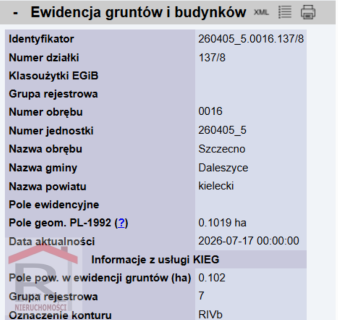 Działka w otoczeniu lasów