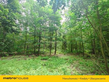 Tuż obok Leśnego Źródełka - Prywatny las 5218 m