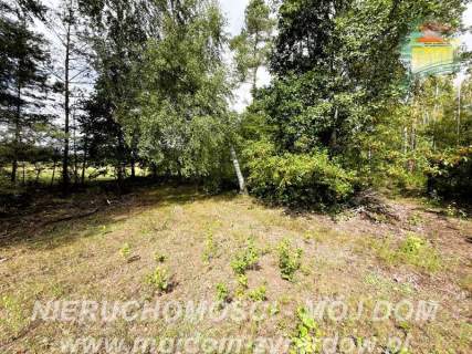 Działka rolno-leśna w Petrykozach - 16 975 m2