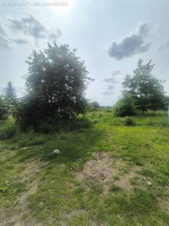 Radość, MPZP, szeregowa 100-120 jednostek
