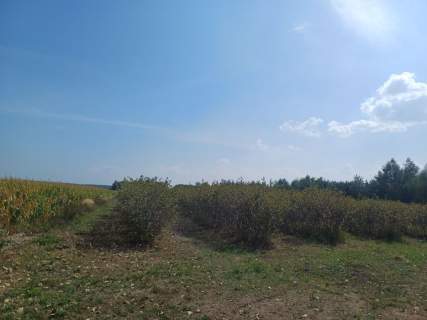 Działka na sprzedaż 18 600m2