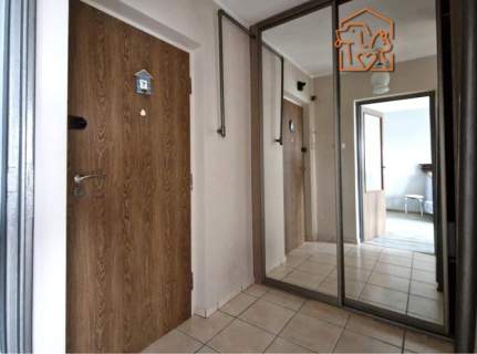 Kawalerka z balkonem, pet friendly, Rojna 52