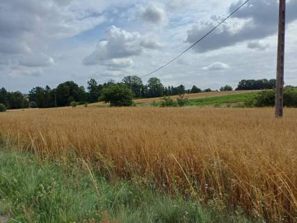 Działki budowlane w Żukowie
