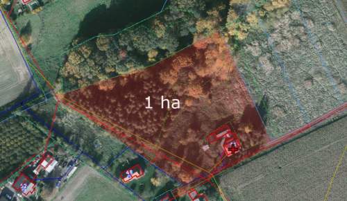 Gospodarstwo w Kończycach Małych.