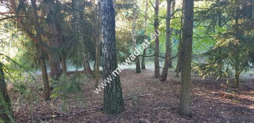 Działka zplanem zagospodarowania