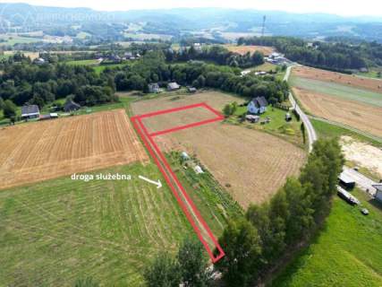 Widokowa działka na wzgórzach Ryglic - 15,89 ara