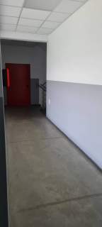 Nieruchomość komercyjna do wynajęcia, 170 m2, Tarnowo Podgórne