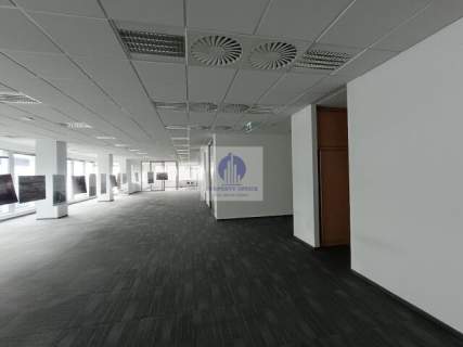 Mokotów lokal biurowo-usługowy 1019 m2 do wynajęcia