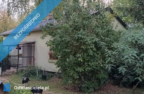 Posiadłość 4,6ha z zabudowaniami, stawem, blisko Warszawy