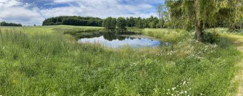 1,56ha DZIAŁKA BUDOWLANA ZE STAWEM 35min od Gdańsk