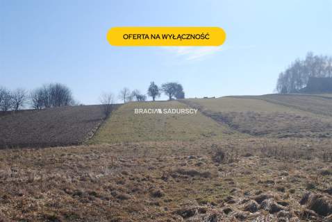 Duża działka budowlano-rolna w Bodzanowie