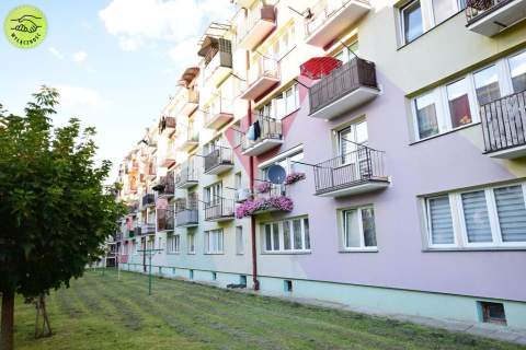 Mieszkanie 3 pokojowe w dobrej lokalizacji.