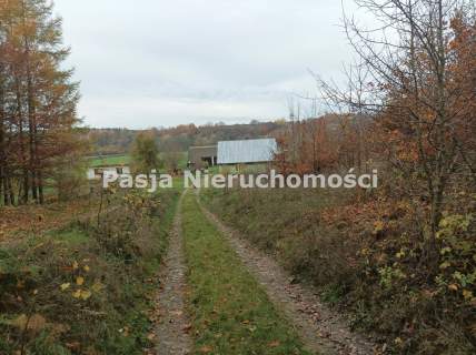 Wyjątkowy teren inwestycyjny - stadnina