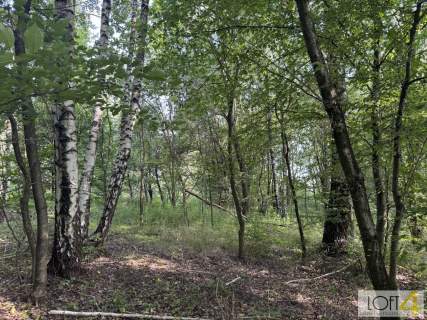 Duża działka z lasem , ponad 1,80 ha