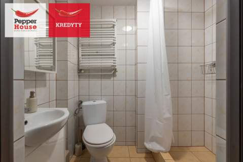 Wyjątkowa willa 4 lokale Duża posesja
