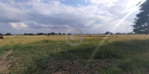 Działki w prądocinie na sprzedaż