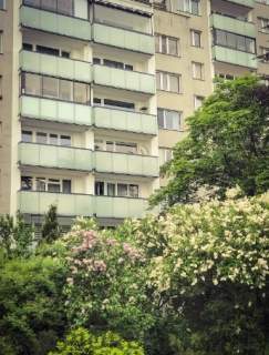 4-pokojowe mieszkanie w Wilanowie