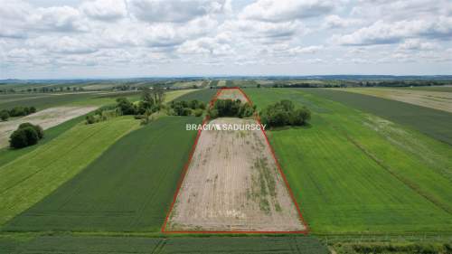 Działka rolna na sprzedaż, 30500 m2, Prandocin-Iły