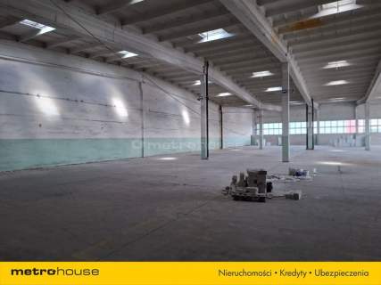 Wynajem hali w Toruniu o powierzchni 1518,4 m2.