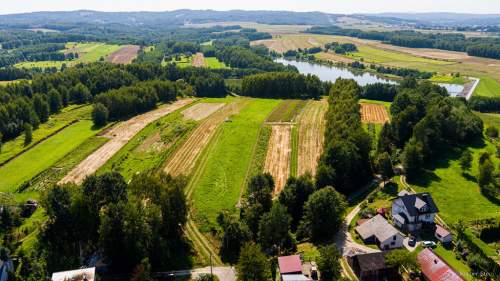 Działka nad zalewem 17 ar w Skrzyszowie 198 000 zł